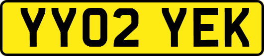 YY02YEK