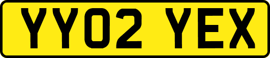 YY02YEX
