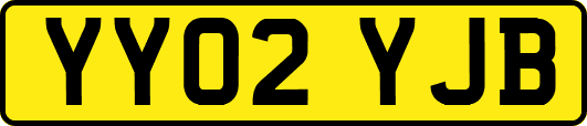 YY02YJB
