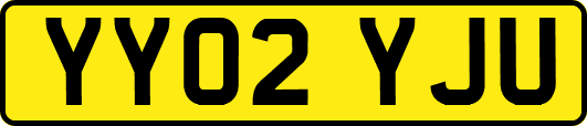YY02YJU