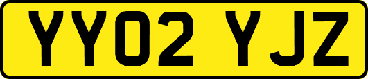 YY02YJZ