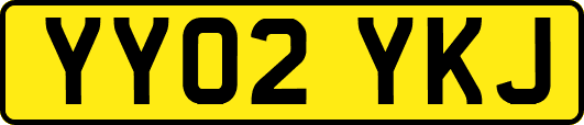 YY02YKJ