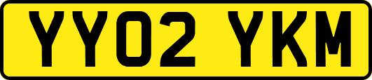 YY02YKM