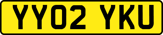 YY02YKU