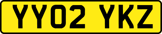 YY02YKZ