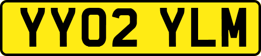 YY02YLM