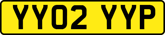YY02YYP