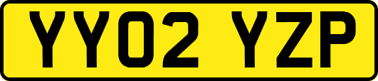 YY02YZP