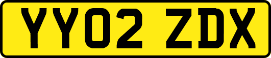 YY02ZDX
