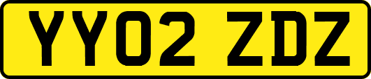YY02ZDZ