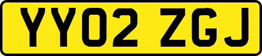 YY02ZGJ