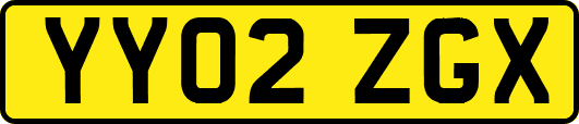 YY02ZGX
