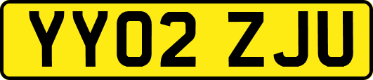 YY02ZJU