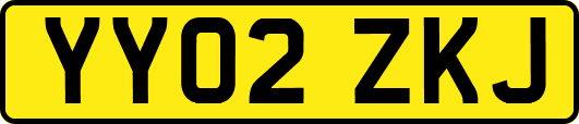YY02ZKJ