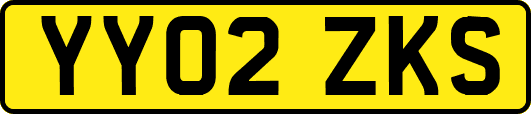 YY02ZKS