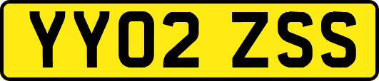 YY02ZSS