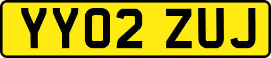 YY02ZUJ