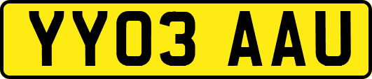 YY03AAU