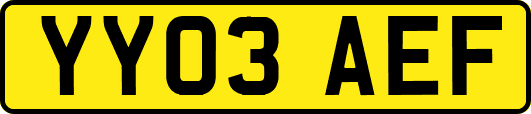 YY03AEF
