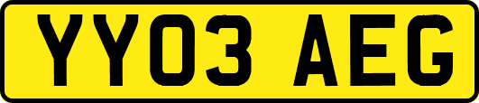 YY03AEG