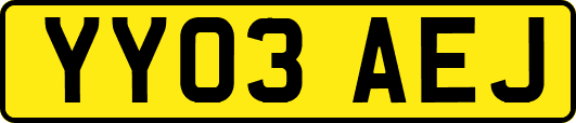 YY03AEJ