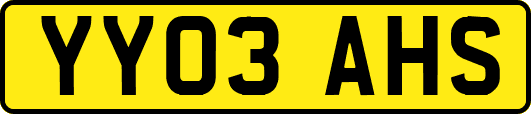 YY03AHS