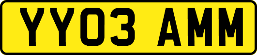 YY03AMM