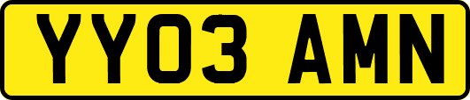 YY03AMN