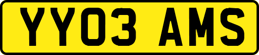 YY03AMS