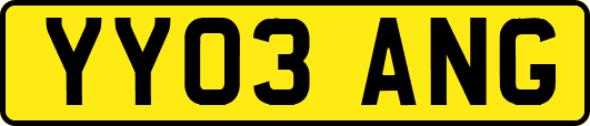 YY03ANG