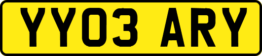 YY03ARY