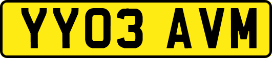 YY03AVM