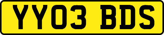 YY03BDS