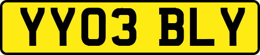 YY03BLY