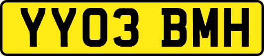 YY03BMH