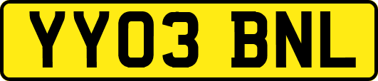 YY03BNL