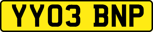 YY03BNP