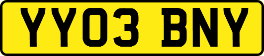 YY03BNY