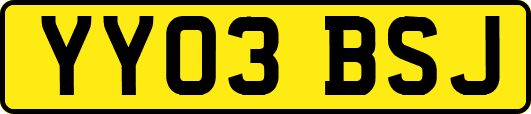 YY03BSJ
