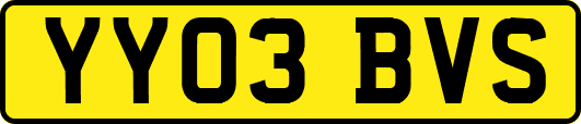 YY03BVS