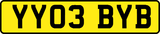 YY03BYB
