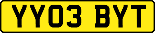 YY03BYT