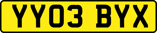 YY03BYX
