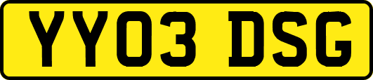 YY03DSG