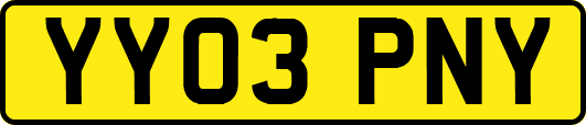 YY03PNY
