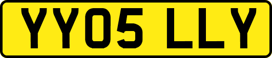 YY05LLY