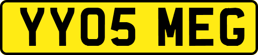 YY05MEG
