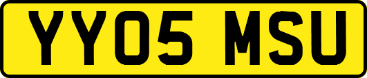 YY05MSU