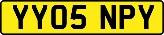 YY05NPY