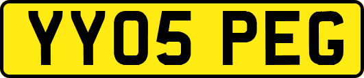 YY05PEG